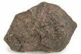 Chondrite Meteorite ( g) - Western Sahara Desert #232937-1